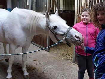 Jasmin und Lisa bereiten Antonio für die Reitstunde vor.  Fotos: Richard Sänger
