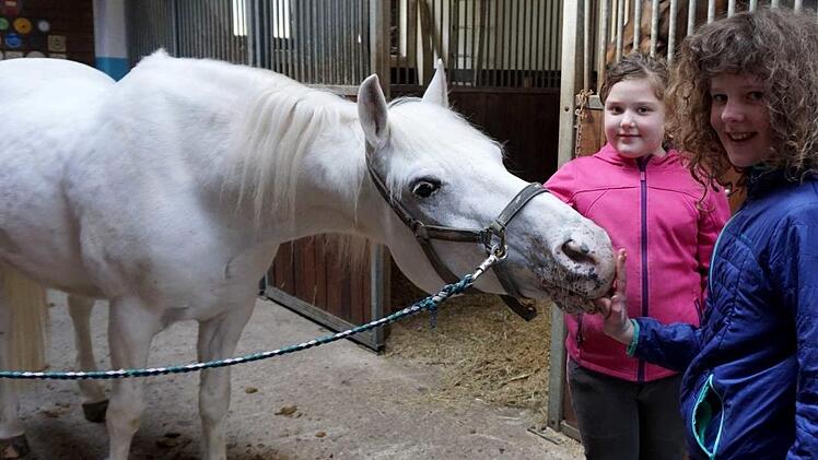Jasmin und Lisa bereiten Antonio für die Reitstunde vor.  Fotos: Richard Sänger