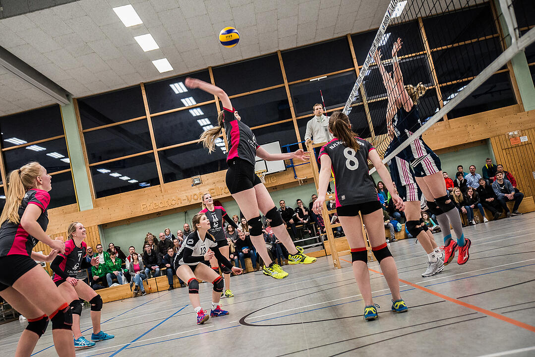 N.H. Young Volleys - TV Erlangen (3:2)