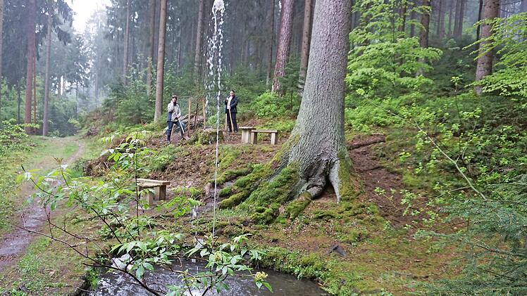 Der Waldspringbrunnen bei der Grundmühle ist ein lohnendes Wanderziel. Anne Gaida (links) und Vorsitzende Ulla Hofmann bei dem gepflanzten Davids-Ahorn sind stolz auf das Plätzchen. Foto: Bruno Preißinger