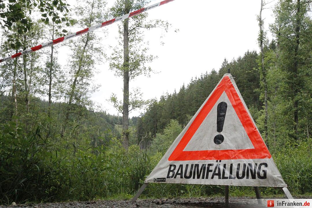 Voloprojekt: Baum fällt
