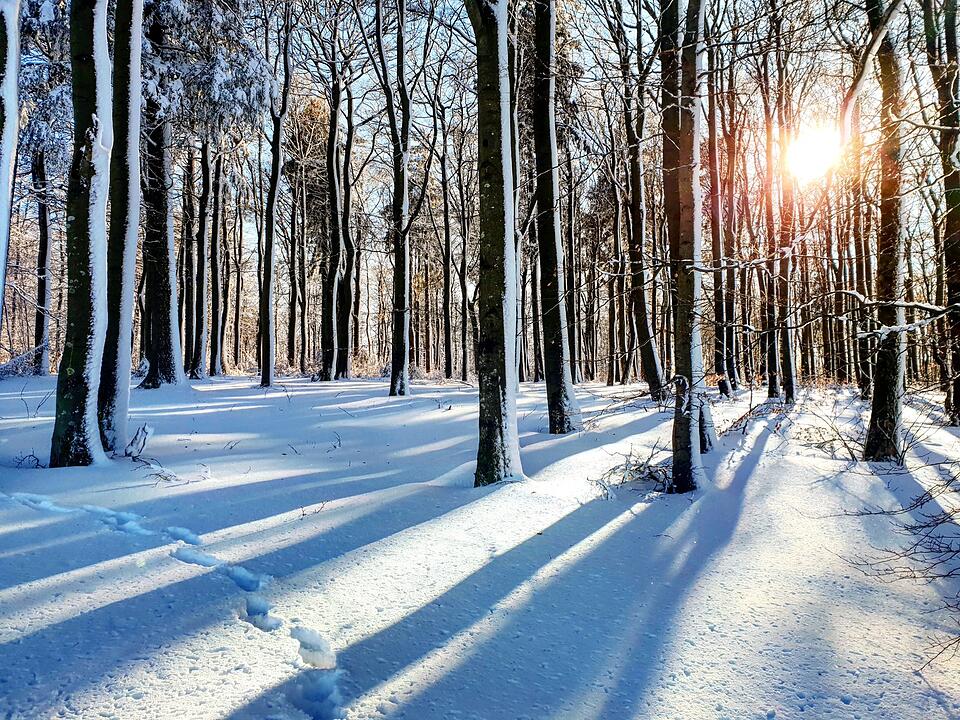Urlaub in Franken: Rhön im Winter