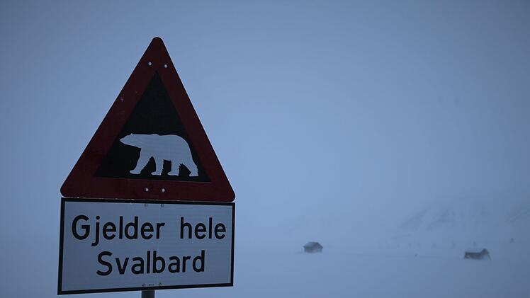 Eisb&auml;r auf Spitzbergen erschossen