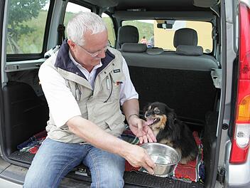 Wer derzeit seinen Hund im Auto mitnehmen muss, sollte   immer wieder nachsehen, wie es dem Tier kreislaufmäßig geht und ihm Trinkwasser anzubieten. Foto: Barbara Herbst