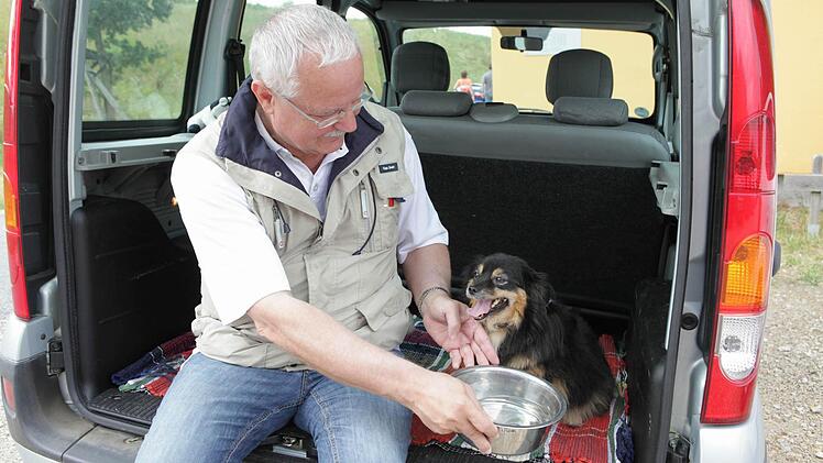 Wer derzeit seinen Hund im Auto mitnehmen muss, sollte   immer wieder nachsehen, wie es dem Tier kreislaufmäßig geht und ihm Trinkwasser anzubieten. Foto: Barbara Herbst