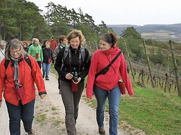 Weinbergshüttenwanderung in Hammelburg: Christiane Schmid, Susanne Volkheimer und Martina Klüber-Wibelitz (von links) gingen bei der Exkursion voran. Einen Wanderweg, der durch das gesamte Saaletal führt, wünscht sich TFSH-Vorsitzender Alfred Jeurink.  Fotos: Markus Reeh