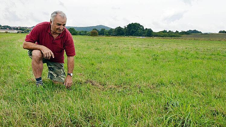 Franz Ruß auf "seiner" FFH-Fläche. Ein Umpflügen zum Anbau von Gertreide wird von den Behörden bisher nicht erlaubt. Foto:  Ronald Rinklef