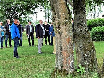 Unter dieser Buche auf dem Friedhof Eltingshausen sollen auf Anregung von Ortssprecher Andreas Kukuk (FWG) bald Urnenbeisetzungen möglich sein.  Foto: Sigismund von Dobschütz