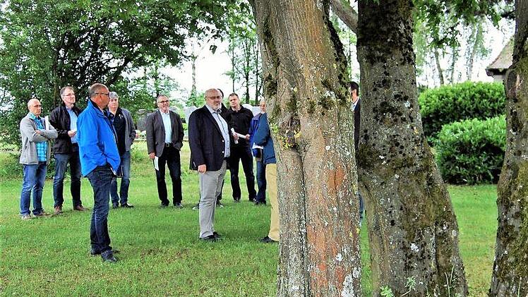 Unter dieser Buche auf dem Friedhof Eltingshausen sollen auf Anregung von Ortssprecher Andreas Kukuk (FWG) bald Urnenbeisetzungen möglich sein.  Foto: Sigismund von Dobschütz