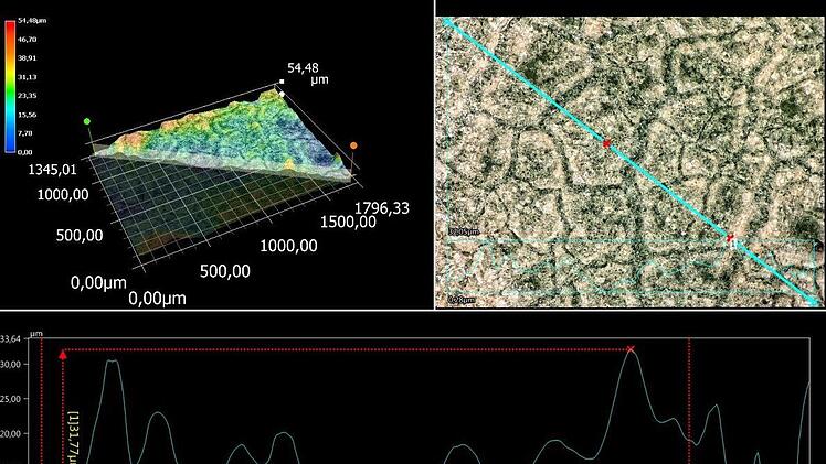 Die Höhenstruktur des Blattes wird vermessen. Foto: Keyence