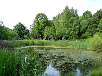 Am Samstag, 14. April, geht der Bund Naturschutz mit Interessierten auf Amphibienexkursion. Abmarsch ist um 10 Uhr am Biosphärenzentrum Haus der Schwarzen Berge in Oberbach. Im Bild: Der Teich am Berghaus Rhön. Elisabeth Assmann