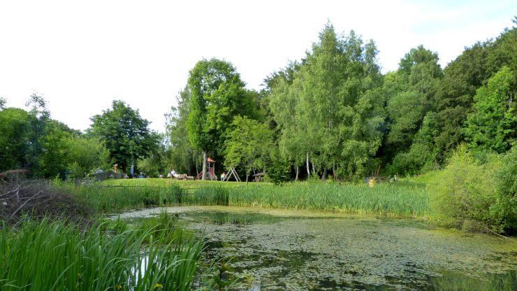 Am Samstag, 14. April, geht der Bund Naturschutz mit Interessierten auf Amphibienexkursion. Abmarsch ist um 10 Uhr am Biosphärenzentrum Haus der Schwarzen Berge in Oberbach. Im Bild: Der Teich am Berghaus Rhön. Elisabeth Assmann