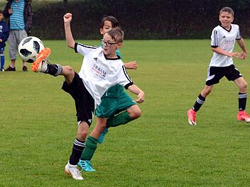 Aktuell hat die Fußball-Jugend im Spielkreis Erlangen/Pegnitzgrund Sommerpause oder geht abseits der Punktspiele - wie hier beim Sportfest in Niederndorf - ihrem Hobby nach. Foto: herzopress