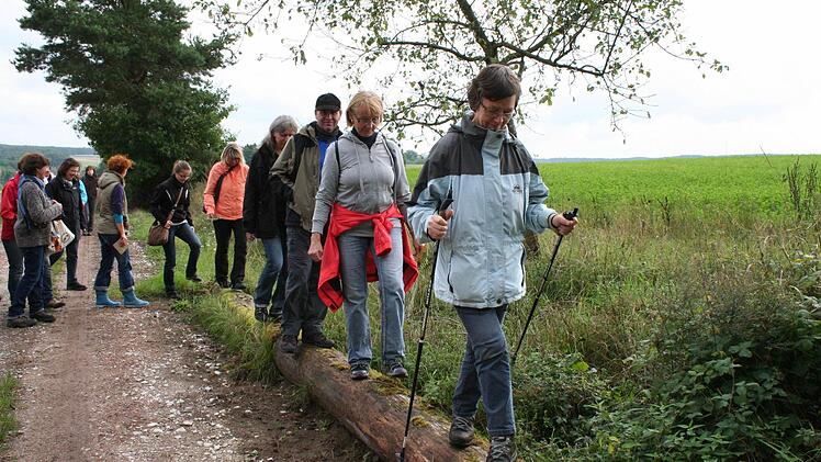 Balancieren auf dem Baumstamm. Auch das gehört zu einer Wanderung durch die Natur dazu. Foto: Evi Seeger