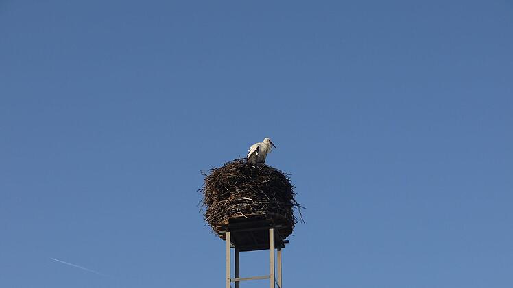 Der Horst auf dem Schlot der Brauerei Schleicher in Kaltenbrunn im Itzgrund hat am Montag  zum ersten Mal in diesem Jahr Besuch von einem Storch bekommen. - Foto: Berthold Köhler