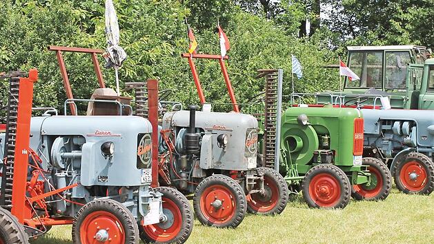 Oldtimer-Traktoren der verschiedensten Marken gibt es am 8. Juli wieder in Fierst zu sehen. Fotos: Janina Reuter