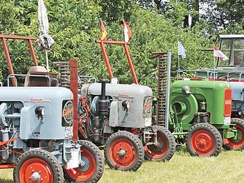 Oldtimer-Traktoren der verschiedensten Marken gibt es am 8. Juli wieder in Fierst zu sehen. Fotos: Janina Reuter