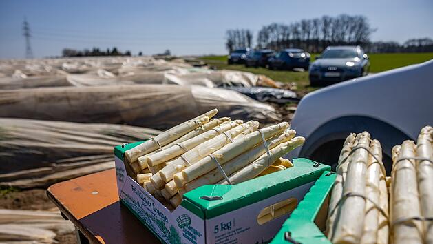 Spargel 2026: Die Kosten steigen