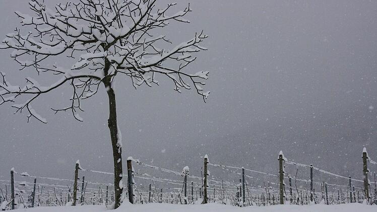Schaurig-winterlich-schön.