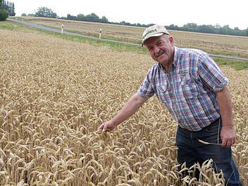 Sparte bei der digitalen BBV-Kreisversammlung nicht mit Kritik: Obmann Wilfried Löwinger.