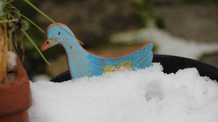 Blau gefrorene Schneegans? Gesehen in Ebern. Foto: Eckehard Kiesewetter