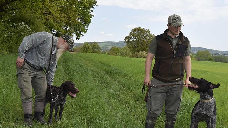 Ungeduldig warten "Aurelius vom Soloshof" (links) und "Sko von der Kälberweide" auf ihren Einsatz. Foto: Andreas Welz