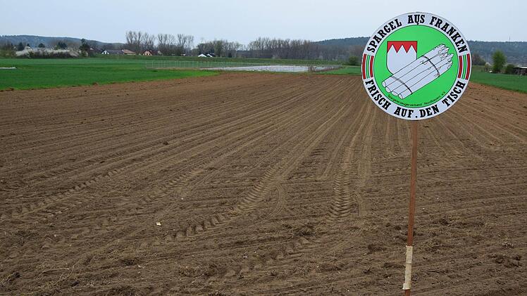 Foto: Ronald Rinklef