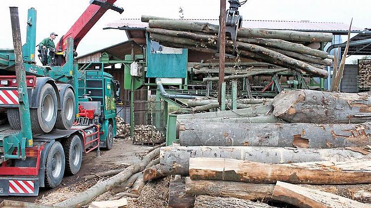 3400 Festmeter Holz sollen die Fachleute im kommenden Jahr aus dem Burkardrother Wald holen. Foto: Archiv/ Wolfgang Kretschmer