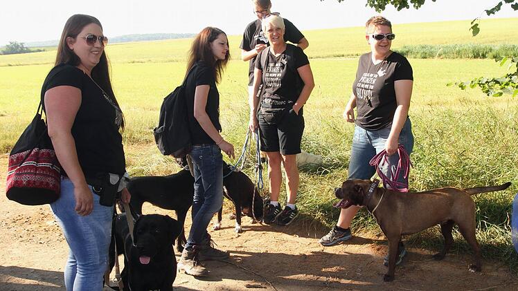 Gespannt verfolgen diese Damen die Prüfung bei den "Begleithunden" und warten auf ihren Einsatz. Foto: Günther Geiling