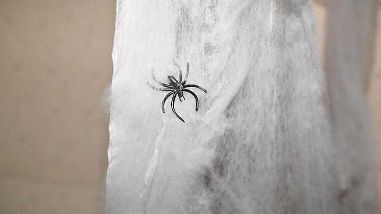 Impressionen aus dem Halloween-Haus in Dörfles-Esbach Foto: Ronald Rinklef