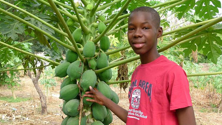 Babacar, ein junger Mann aus der Stadt Thiès, würde gern Pilot werden. Aber er weiß, dass das ein kaum zu erfüllender Traum ist.