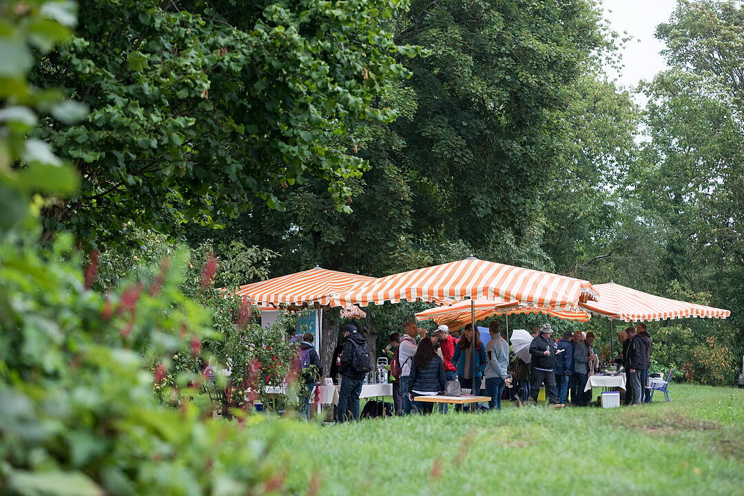 &Ouml;kowein-Pr&auml;sentation