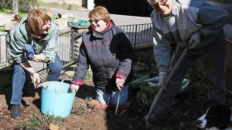 Im Hexenkräutergarten sorgten (von links) Christa Babel, Christa Schlegelmilch und Martin Schlegelmilch für Ordnung.  privat