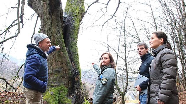 Ulrich Döge, Rita Satzger, Andreas Kirchner und Christiane Meyer (v. l.) im Wald.  Foto: Andreas Hofbauer