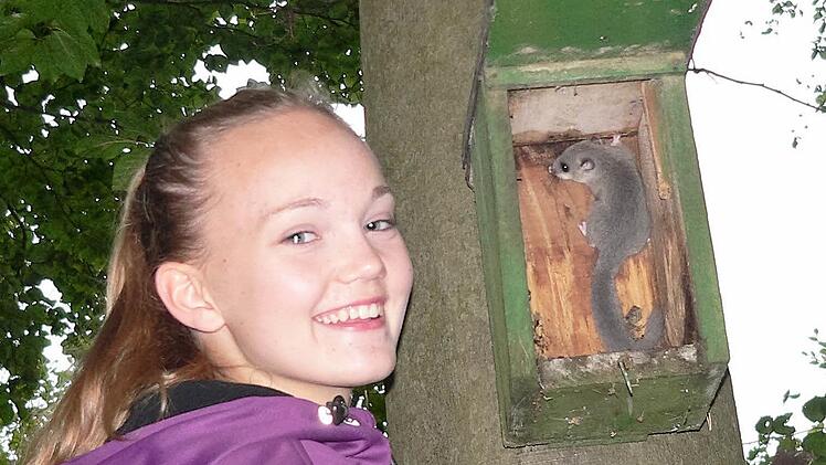 Pauline Behnke von der Jugendgruppe "Monsterpfoten" freut sich &uuml;ber den Siebenschl&auml;fer, den sie beim &Ouml;ffnen eines Vogelkastens entdeckte.  Foto: Christa Schr&ouml;der