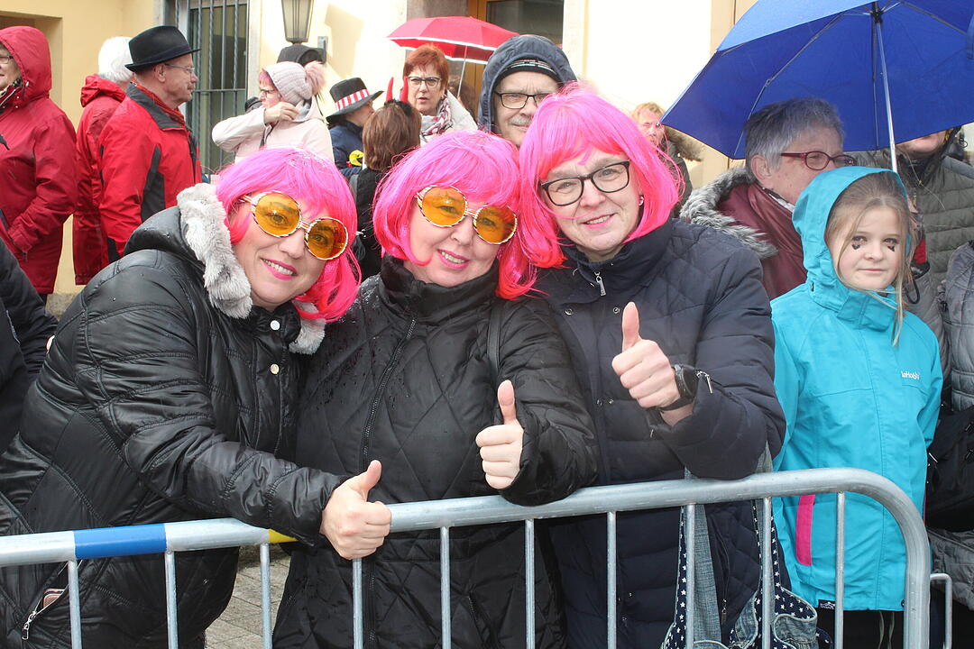 Kreisfaschingsumzug 2020