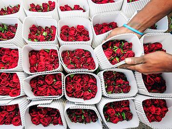 Floristen in der ganzen Welt verdienen am Valentinstag nicht schlecht. Symbolbild - Foto: dpa