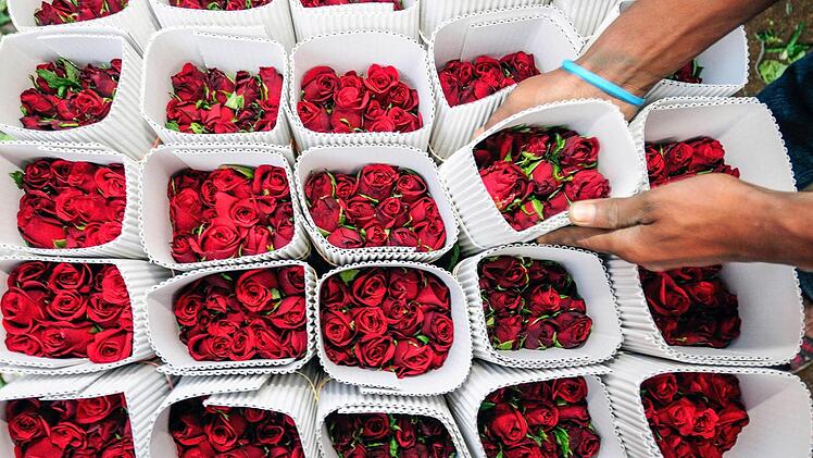 Floristen in der ganzen Welt verdienen am Valentinstag nicht schlecht. Symbolbild - Foto: dpa