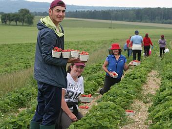 Paven Codrut (links) und die anderen rumänischen Saisonarbeiter am Modloser Obsthof Müller müssen sich an viele Corona-Auflagen halten. Foto: Steffen Standke