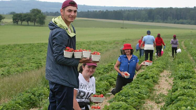 Paven Codrut (links) und die anderen rumänischen Saisonarbeiter am Modloser Obsthof Müller müssen sich an viele Corona-Auflagen halten. Foto: Steffen Standke