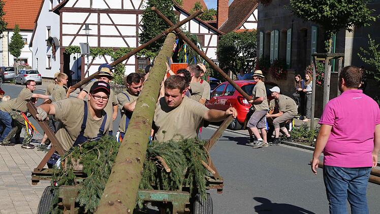 Kräftige Jungs bringen den Baum in die Senkrechte.  Foto: Franz Galster