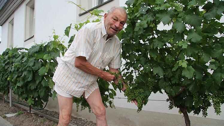 Walter Knell (78) ist der Weinexperte im Obst- und Gartenbauverein und hat in Rheinhessen viele Jahre Erfahrungen gesammelt: Und er bringt auch in Kronach die Rebstöcke dazu, üppig zu tragen. Der Trick: Die Reben stehen im Schutz der Hauswand - und die Wand strahlt Wärme ab.  Foto: Sonja Adam
