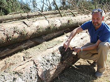 Der Borkenkäfer muss schnell und effektiv bekämpft werden, sagt Forstamtsleiter Michael Schmidt. Eine Forderung, die er auch an Waldbesitzer Günther Burger stellt.Archiv/Sonja Adam