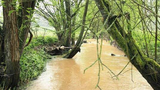 Ungebremst nimmt das Wasser alles mit, und der Bach gräbt sich immer tiefer ins Gelände ein.