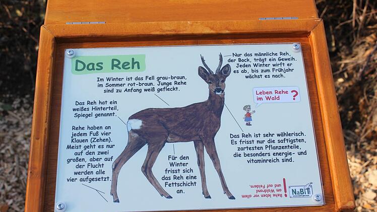 Impression von der Eröffnung des Wald- und Naturerlebnispfads. Foto: Veronika Schadeck