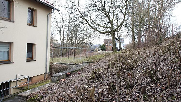 Blick ins Grüne: Fehlanzeige. Seit rund 16 Jahren wird der Wildwuchs regelmäßig radikal gestutzt. Eine Bewohnerin hat davon genug.  Foto: Rudel