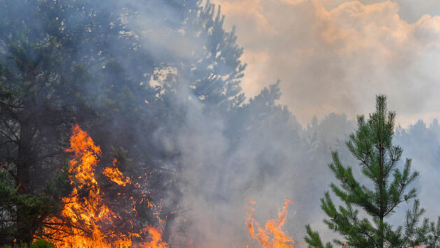 Waldbrand