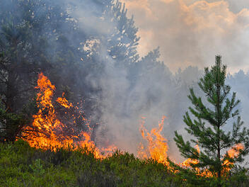 Waldbrand