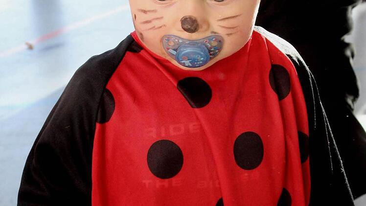 So mancher süße Käfer war da.