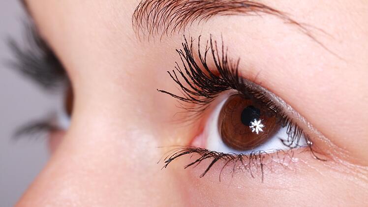 Kosmetik, Make-up, Wimpern, Auge